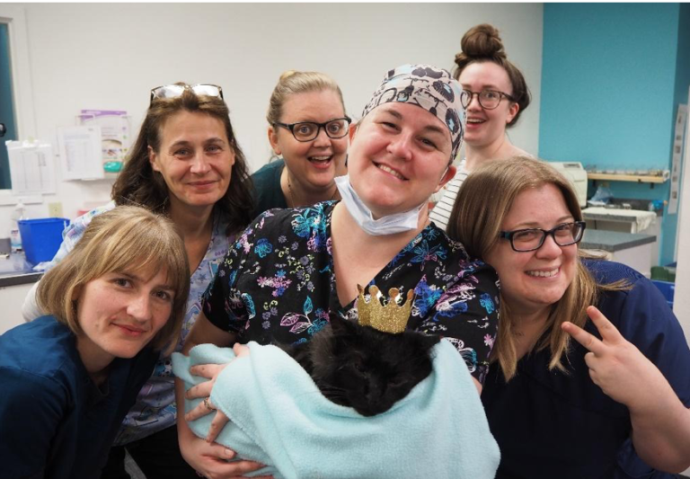Lynnwood spay and neuter clinic celebrates a milestone helping feral
