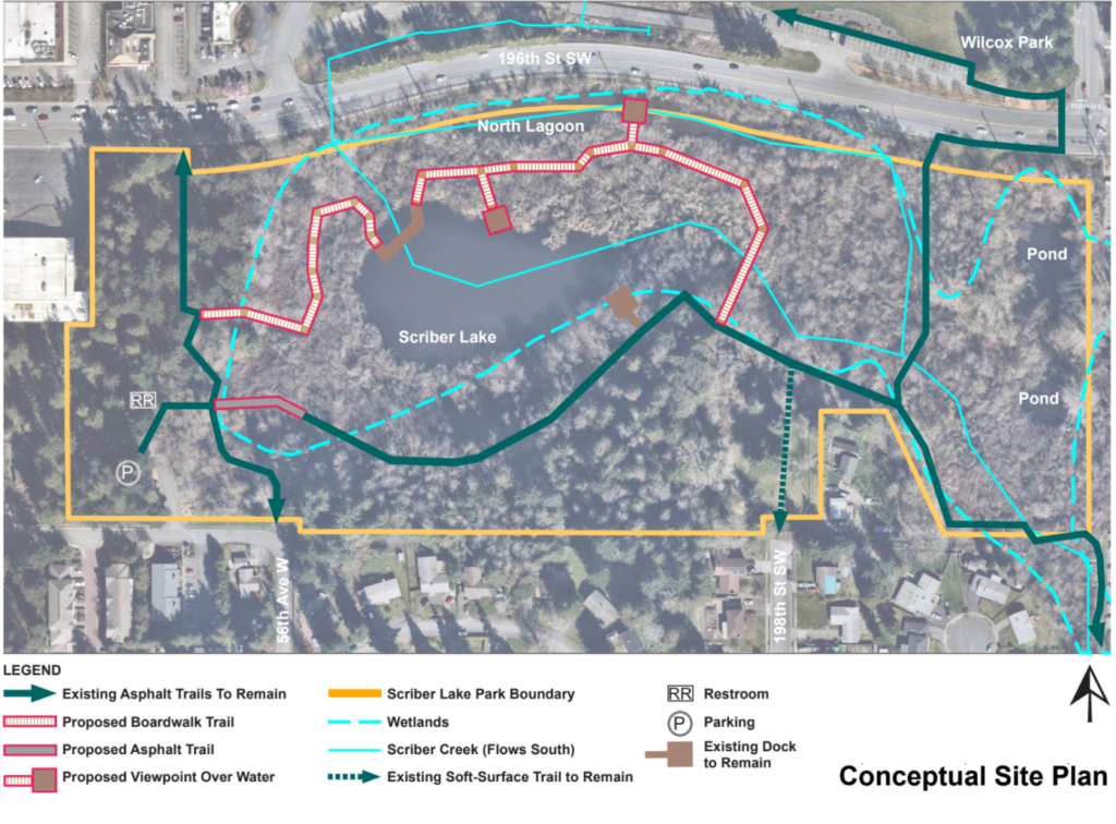 Volunteers clear invasive plants from Scriber Lake Park on National ...