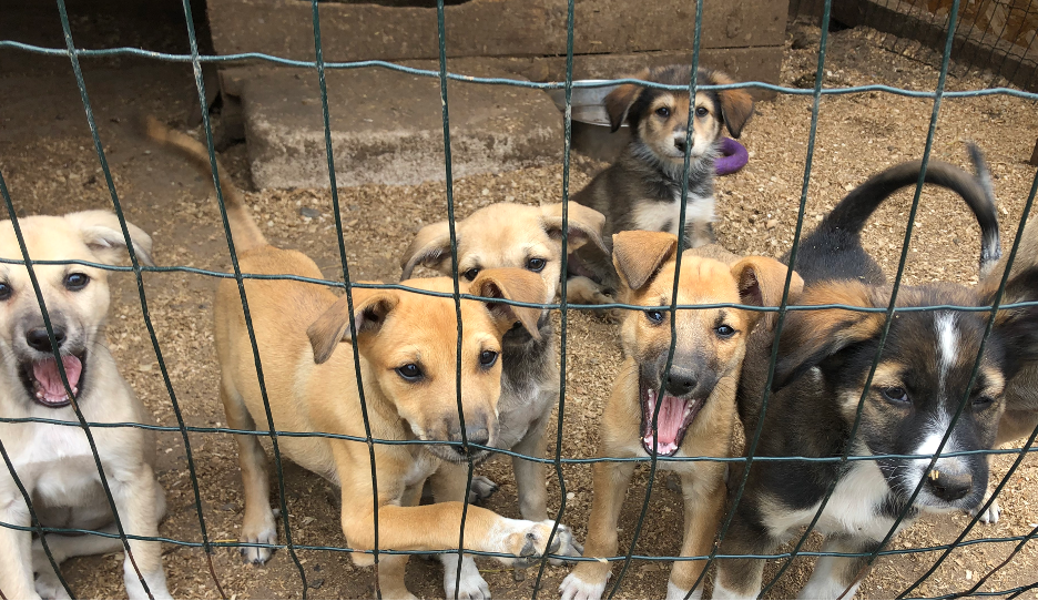 Back to the war zone Edmonds man bound for Ukraine to help rescue more