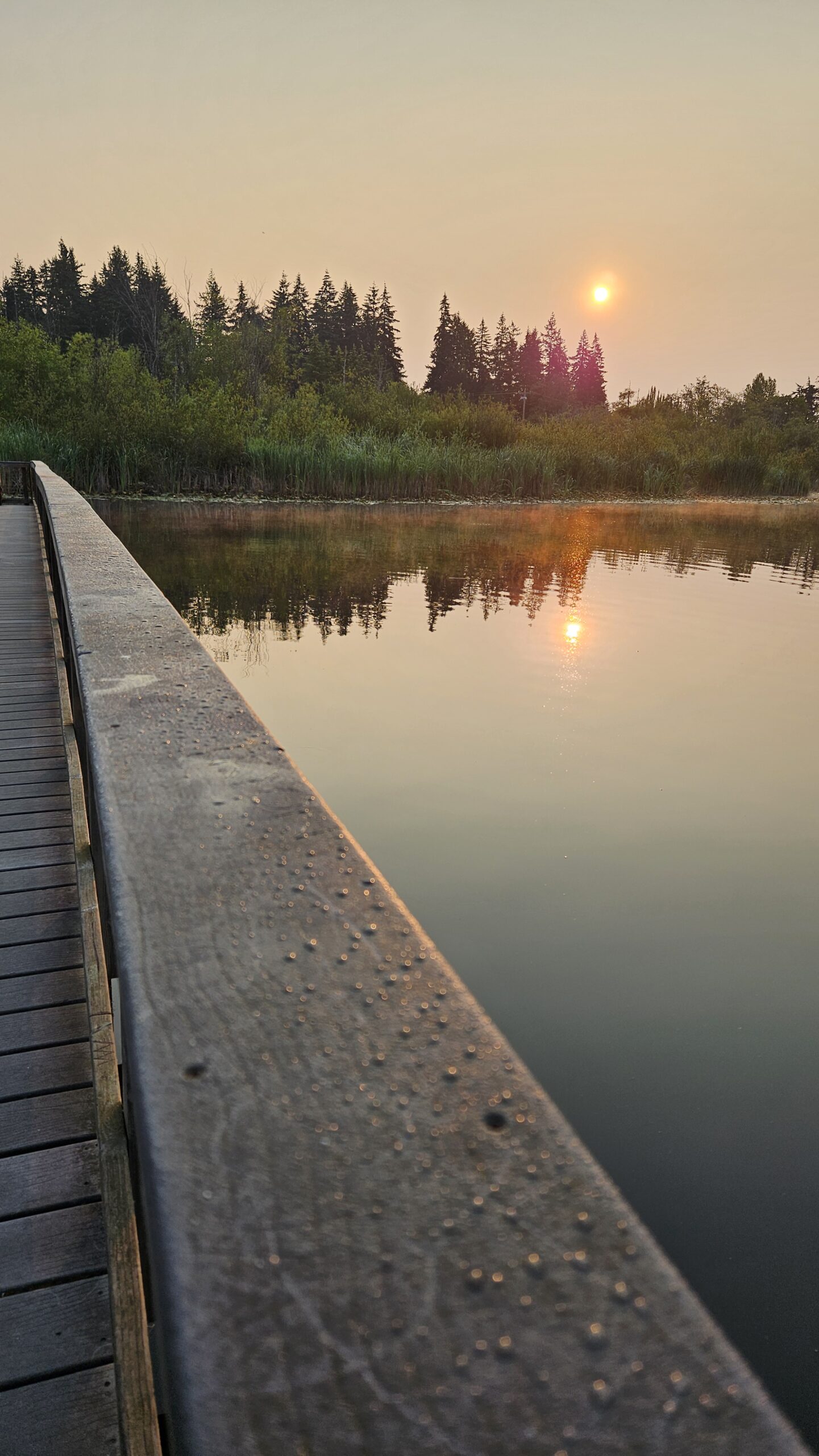 Scene in Lynnwood: Sunrise over Scriber Lake