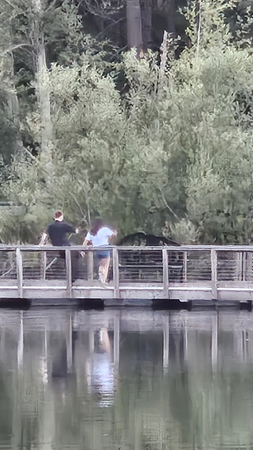 Scene in Lynnwood: Dancing on the pier