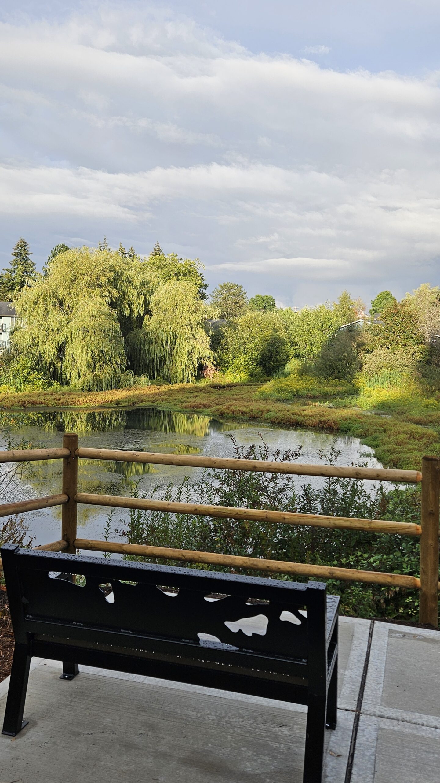Scene in Lynnwood: Have a seat — Scriber Park Trails ribbon cutting Sept. 8