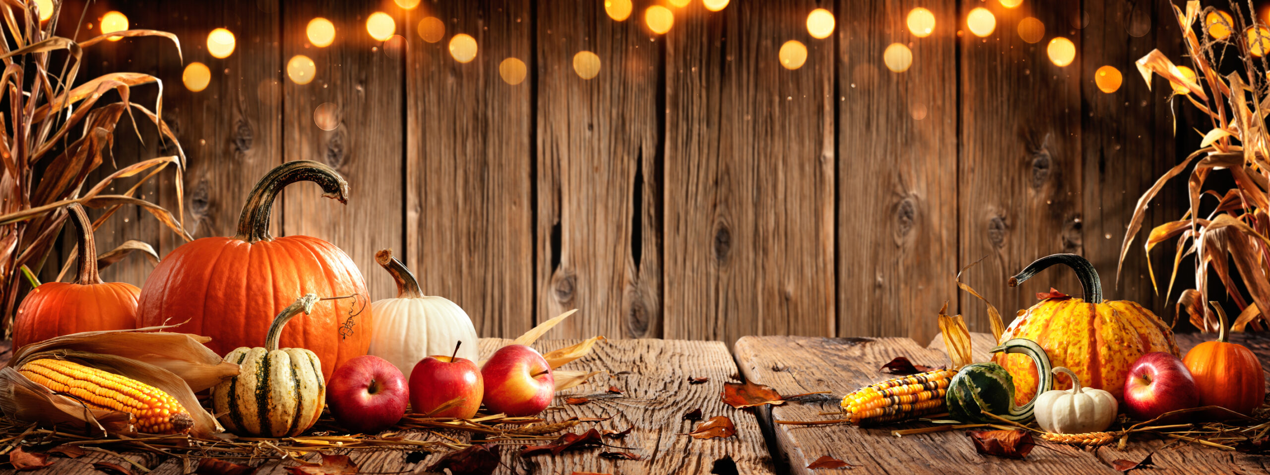 Lynnwood Senior Center Harvest Social Oct. 23