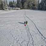 Evergreen Playfield, Mountlake Terrace 12-27-21