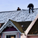 Brier Habitat roof 1