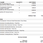 Software contract costs 1