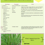 hands in dirt april 2022