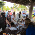 Brier National Night Out 2017 – 2