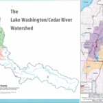 Cedar River – Lake Washington Watershed map