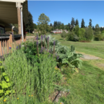 Screen Shot 2022-06-09 at 11.25.12 AM