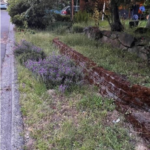 Screen Shot 2022-07-07 at 8.27.02 AM