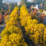 Van Ry Blvd, Mountlake Terrace, 10-15-22