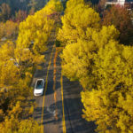 Van Ry Blvd, Mountlake Terrace, 10-15-22