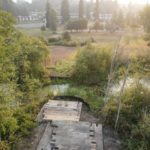 Site Plan 4, looking east.  Hall Creek Restoration Project, 8/27/23
