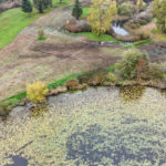 Site Plan 4, looking north, Hall Creek Restoration Project, 10-22-23