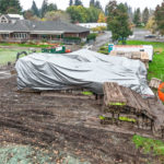 Site Plan 3, looking north, Hall Creek Restoration Project, 10-22-23