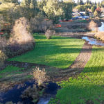 Site Plan 4, looking north, Hall Creek Restoration Project, 10-29-23