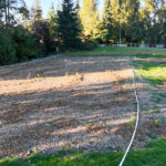 Site Plan 1, looking north, Hall Creek Restoration Project, 10-29-23