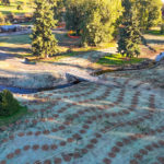 Site Plan 3, looking south, Hall Creek Restoration Project, 10-29-23