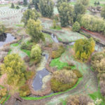 Site Plan 4, looking north, Hall Creek Restoration Project, 10-22-23