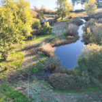 Site Plan 4, looking south, Hall Creek Restoration Project, 10-29-23