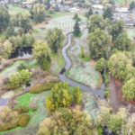 Site Plan 4, looking north, Hall Creek Restoration Project, 10-22-23