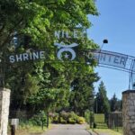 Hall Creek Restoration Project, looking north, 11-12-23