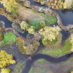 Site Plan 4, looking west, Hall Creek Restoration Project, 11-5-23