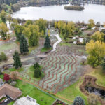 Hall Creek Restoration Project, 11-5-23