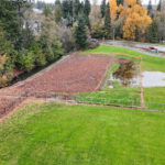 Hall Creek Restoration Project, looking north,  11-19-23