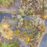 Hall Creek Restoration Project, 11-12-23