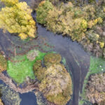 Site Plan 3-4, Hall Creek Restoration Project, 11-5-23