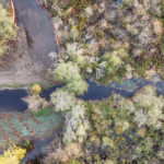 Site Plan 4, looking east, Hall Creek Restoration Project, 11-5-23