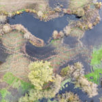 Site Plan 4, looking east, Hall Creek Restoration Project, 11-5-23