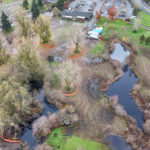 Hall Creek Restoration Project, looking north, 11-19-23