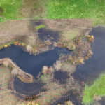 Site Plan 4, looking east, Hall Creek Restoration Project, 11-5-23