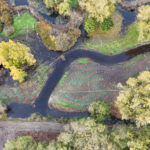 Site Plan 3- 4, looking east, Hall Creek Restoration Project, 11-5-23