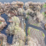 Site Plan 4, looking south, Hall Creek Restoration Project, 12-3-23