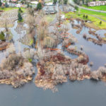 Hall Creek Restoration Project, looking north, 12-10-23