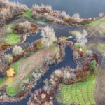 Site Plan 4, looking south, Hall Creek Restoration Project, 12-3-23