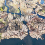 Looking north, Hall Creek Restoration Project 12-17-23