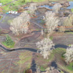 Site Plan 3-4, looking east, Hall Creek Restoration Project, 12-3-23