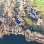 Looking north, Hall Creek Restoration Project 12-17-23