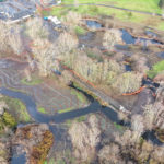 Site Plan 3-4, looking north, Hall Creek Restoration Project, 12-3-23