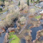 Site Plan 3-4, looking northwest, Hall Creek Restoration Project, 12-3-23