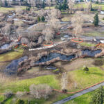 Looking west, Hall Creek Restoration Project 12-17-23