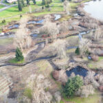 Looking southeast, Hall Creek Restoration Project 12-17-23