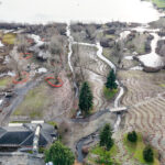Looking south, Hall Creek Restoration Project 12-17-23