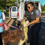 08-06024 MLT National Night Out by Joe Christian-4