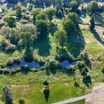 Hall Creek Restoration Project Aug 25, 2024